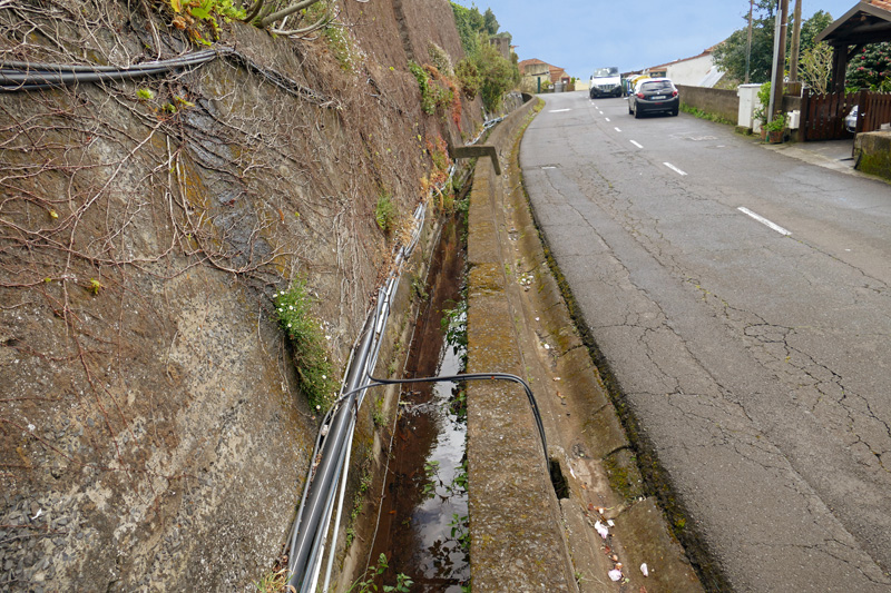 Levada Serra Faial 