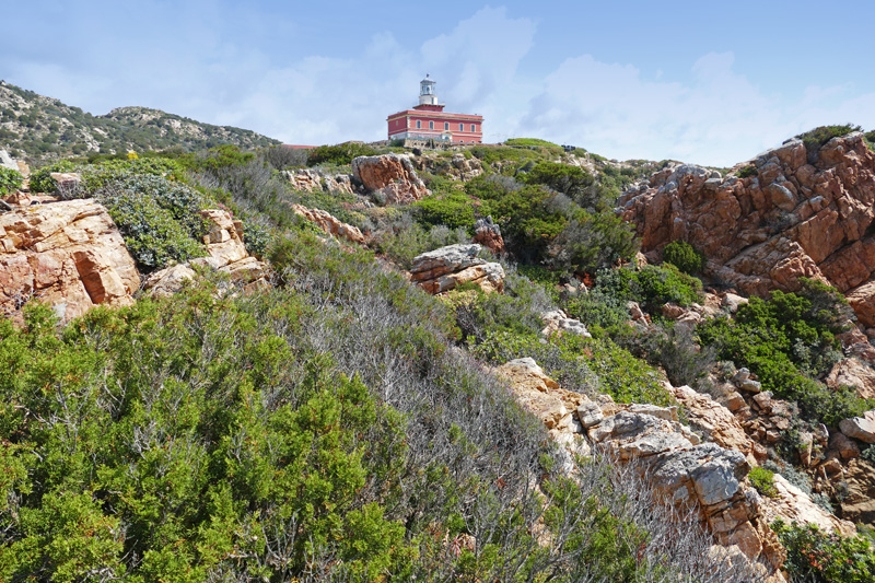 Faro Capo Spartivento