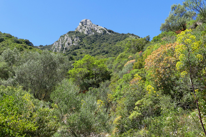 Monte Gennargentu