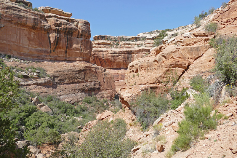 Kane Gulch