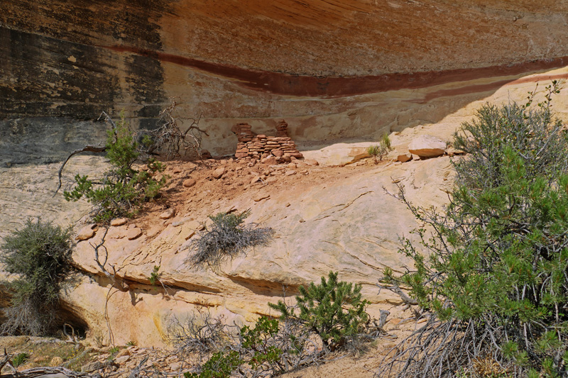 Pine Spring Ruine