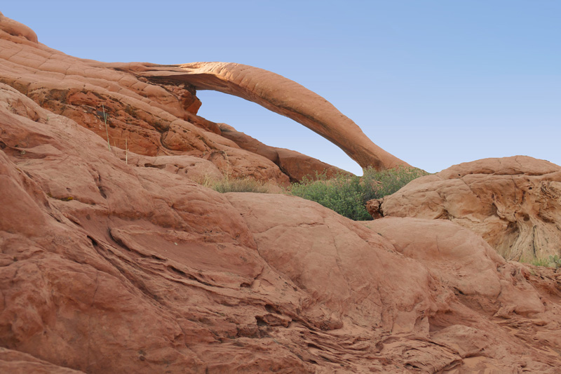 Cobra Arch
